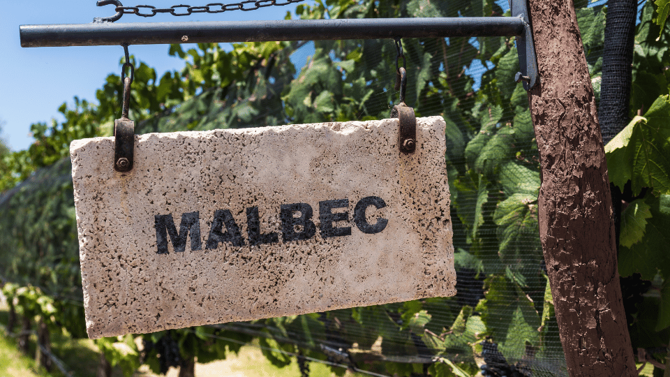 Malbec