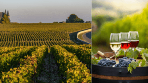 Exploring Bordeaux: A Fun Guide to France's Top Wine Spot