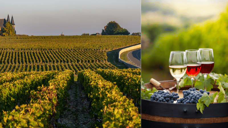 Exploring Bordeaux: A Fun Guide to France's Top Wine Spot