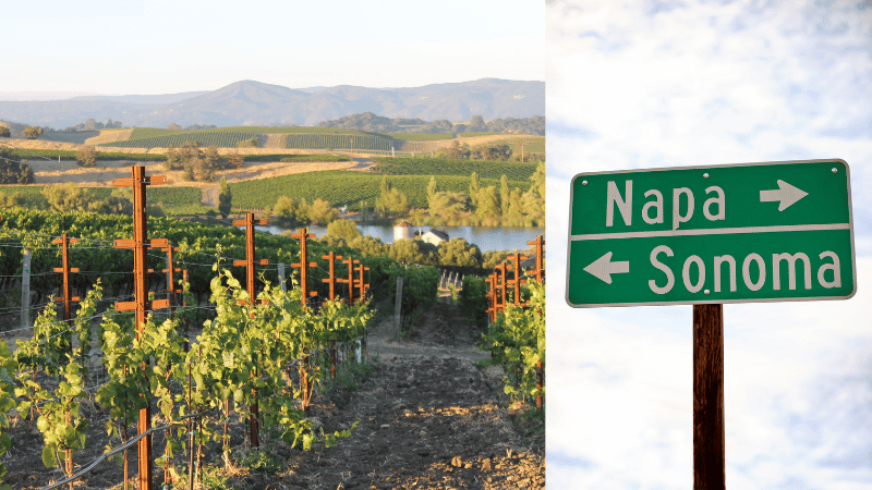 Napa Valley vs. Sonoma: Contrasting California's Wine Capitals