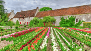 The Loire Valley: France's Garden of Wine