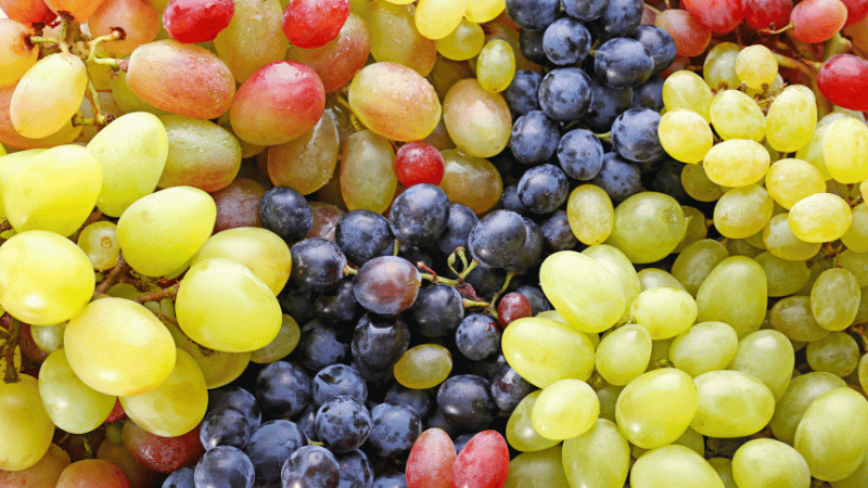 Grape Varieties