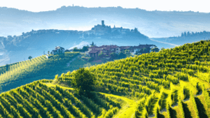 Italian Wine Regions