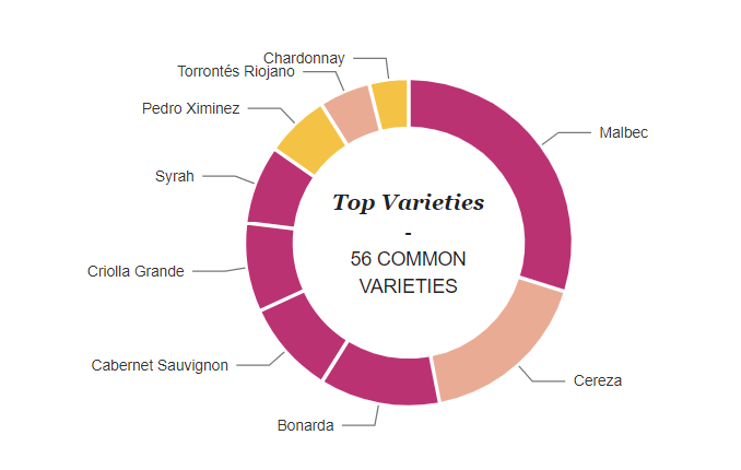 Argentina wine regions